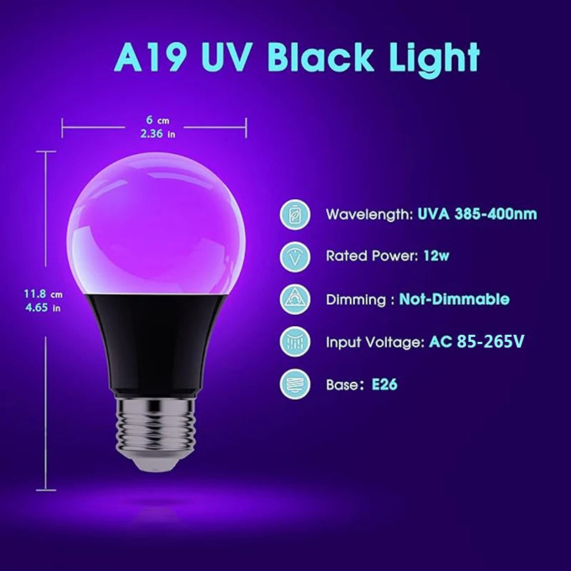 Ampoule LED décoration de fête