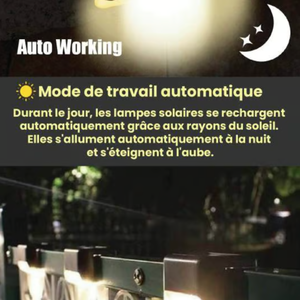 pack 4 Lampes Solaires