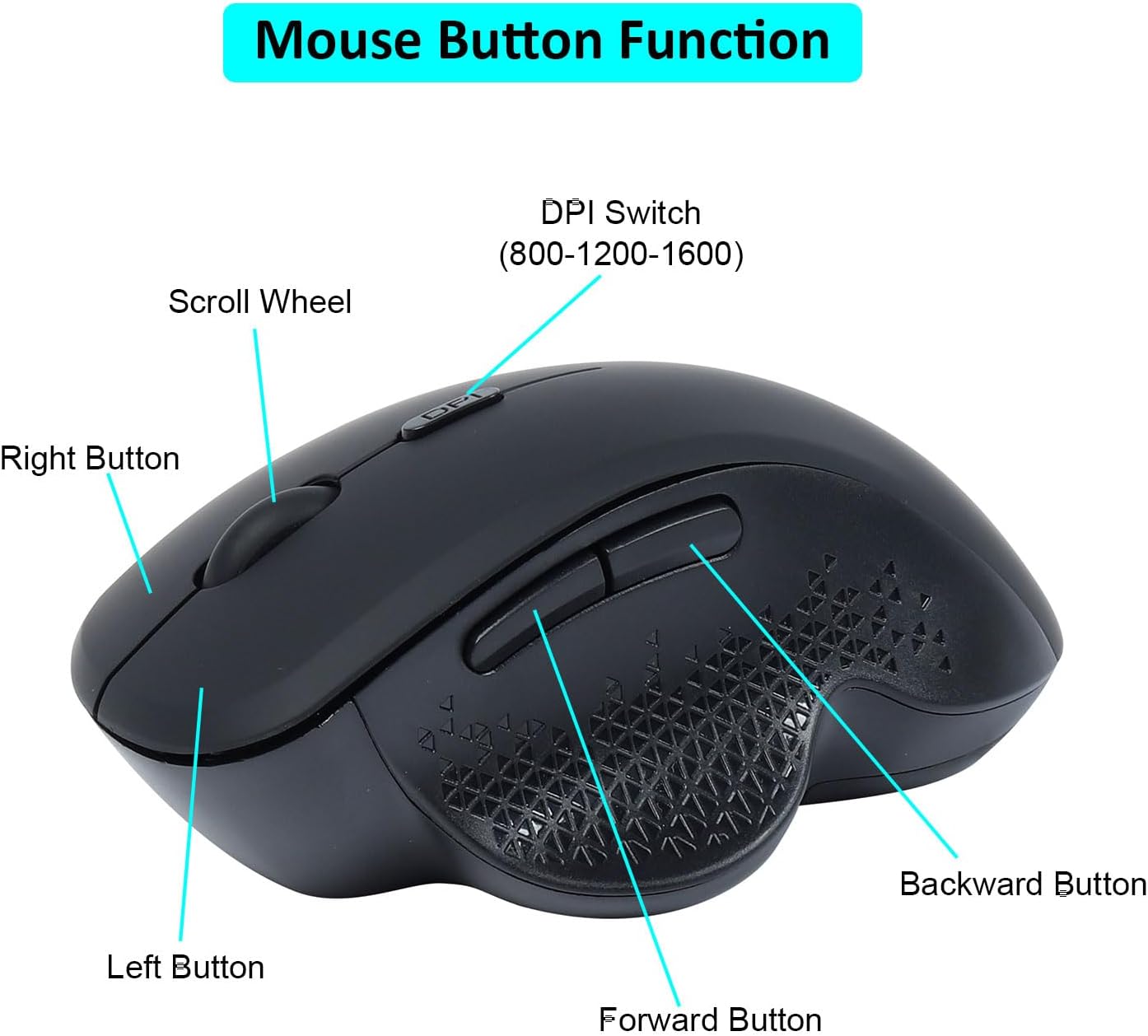 Souris Pro ergonomique pour Grandes Mains