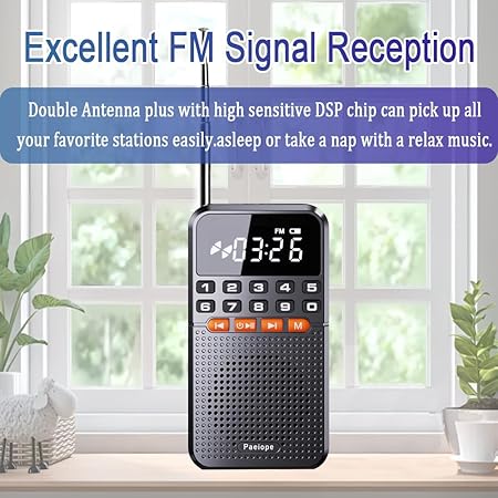Mini radio FM portable avec lampe de poche LED