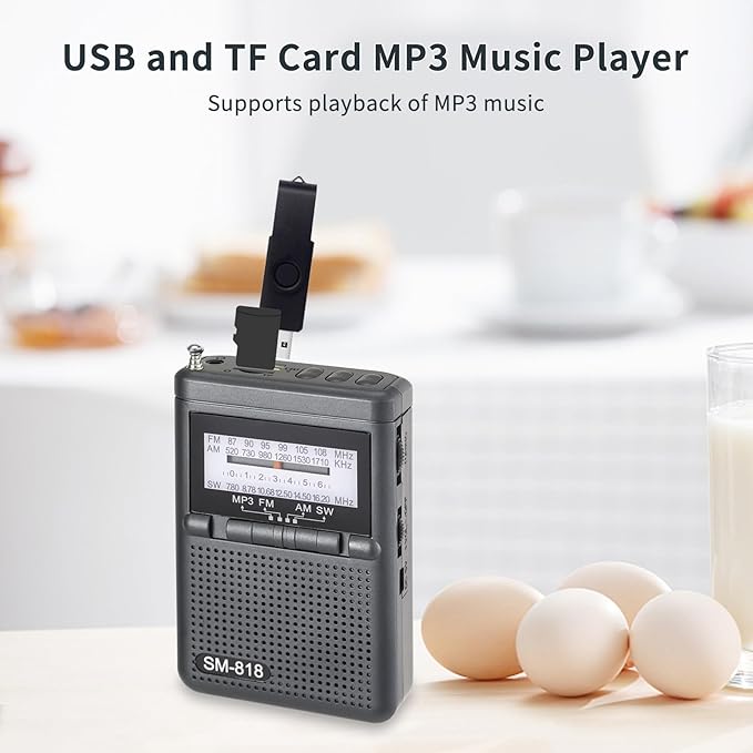 Radio Portable Compacte Pleine Bande