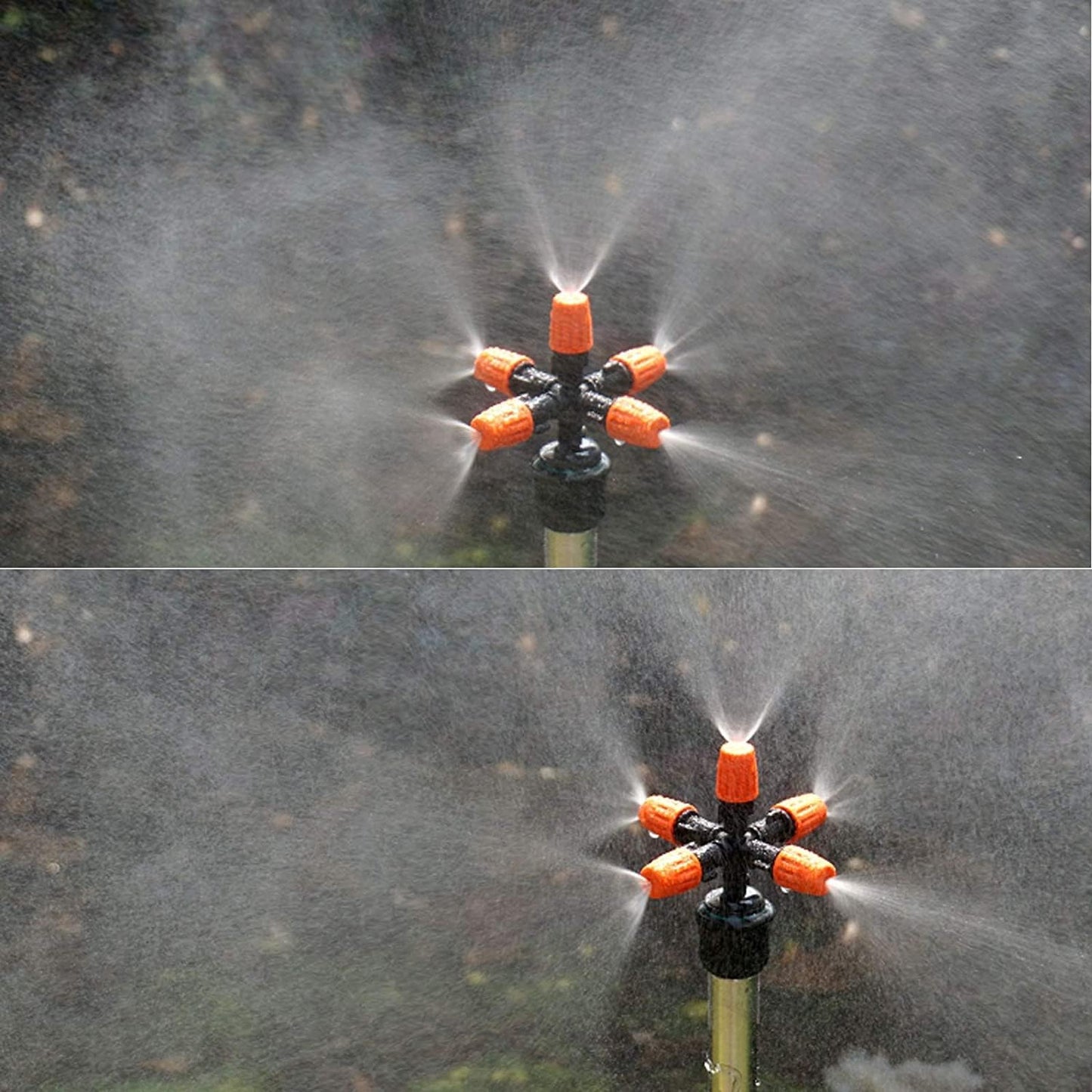 Buses Atomisées 5 Têtes pour Irrigation & Arrosage Efficace