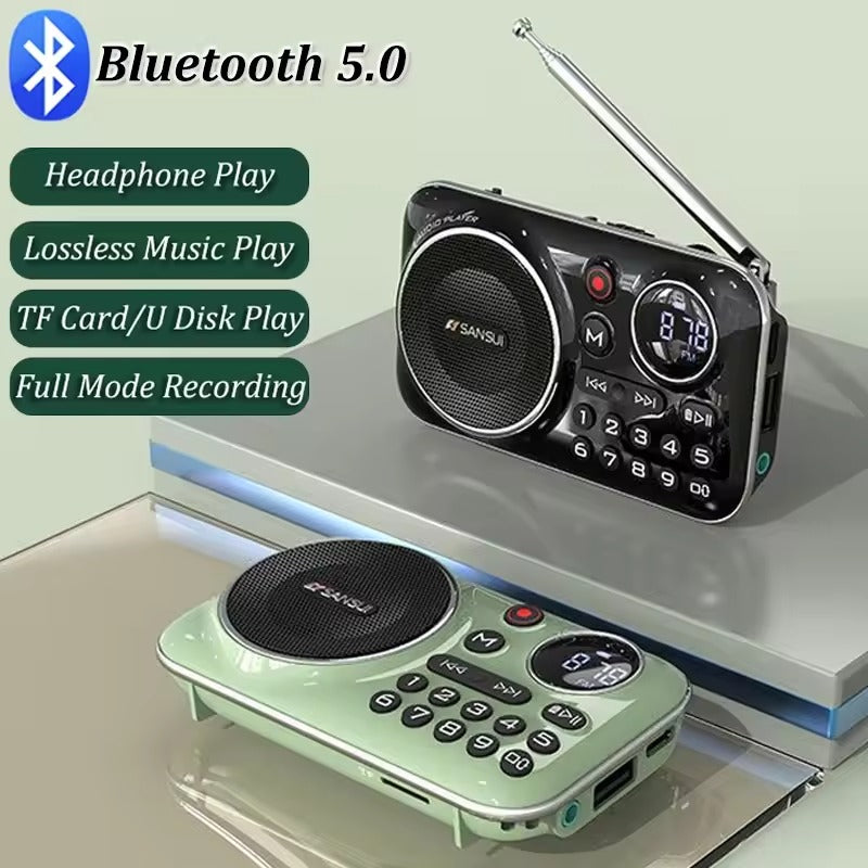 Radio FM Baladeur multifonctionnel