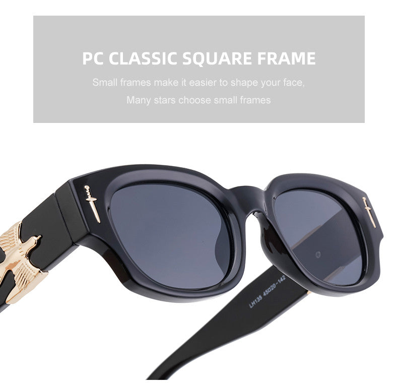 Lunettes de Soleil Mode Aigle pour homme