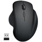 Souris Pro ergonomique pour Grandes Mains