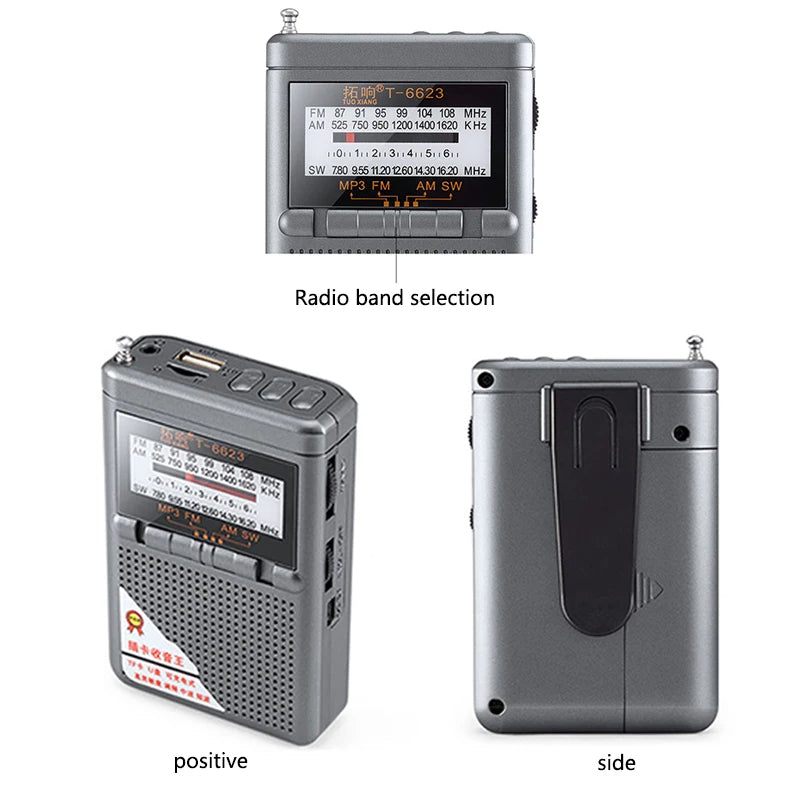 Radio Portable Compacte Pleine Bande