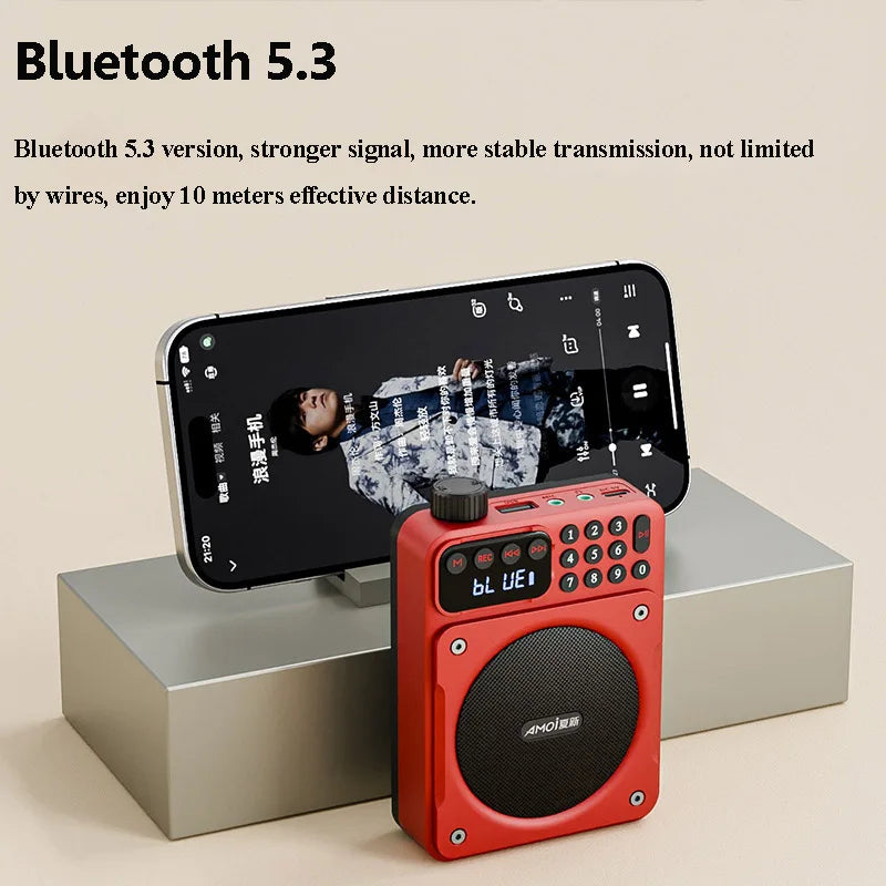 Mini Radio FM numérique avec écran