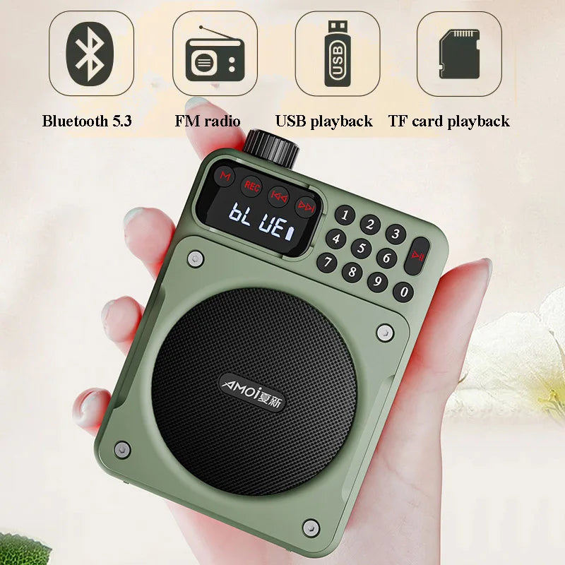 Mini Radio FM numérique avec écran